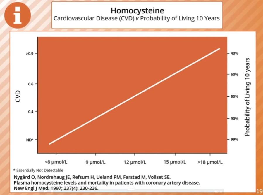 low homocysteine range