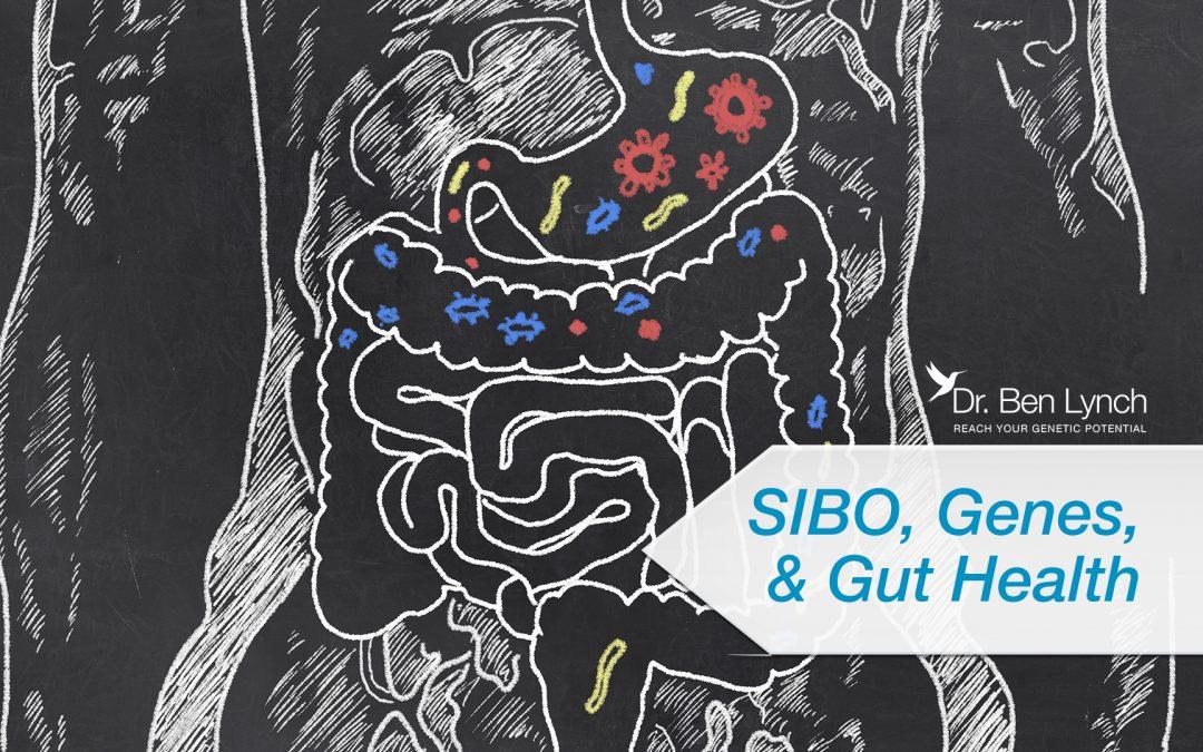 SIBO, Genes, and Gut Health - Dr Lynch : Dr Lynch SIBO, Genes, and Gut Health - Dr Lynch : Dr Lynch