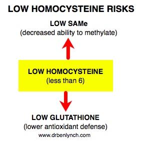 low homocysteine