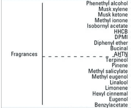 Sensitivities to Smells: What You Need To Know